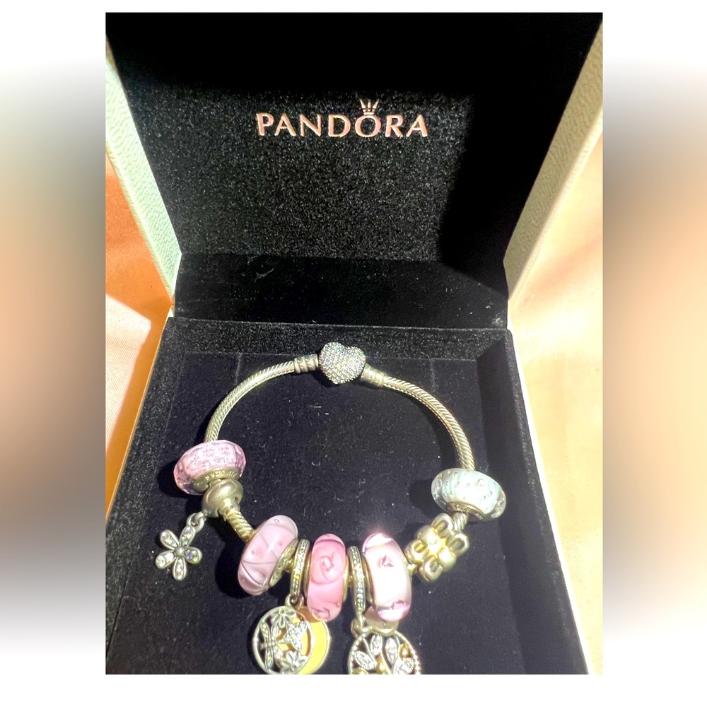 Authentic Pandora bracelet with all the charms